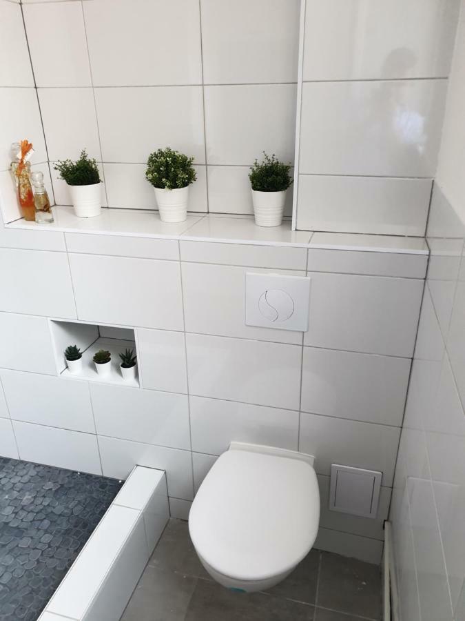 Strasbourg Centre Le 85, Superbe F5, 125M2, 5 Pieces Apartment Bagian luar foto