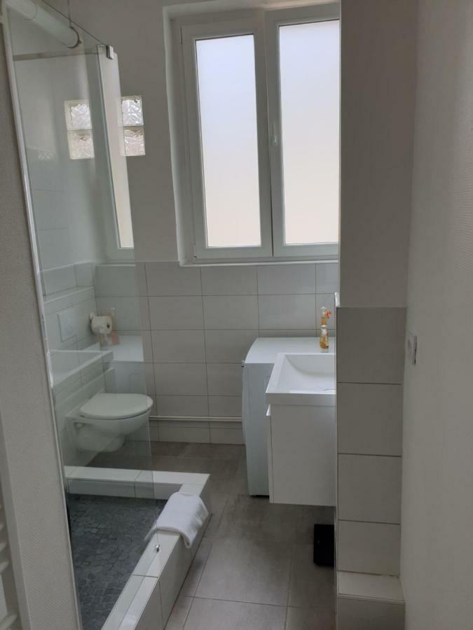 Strasbourg Centre Le 85, Superbe F5, 125M2, 5 Pieces Apartment Bagian luar foto