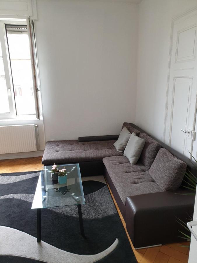 Strasbourg Centre Le 85, Superbe F5, 125M2, 5 Pieces Apartment Bagian luar foto